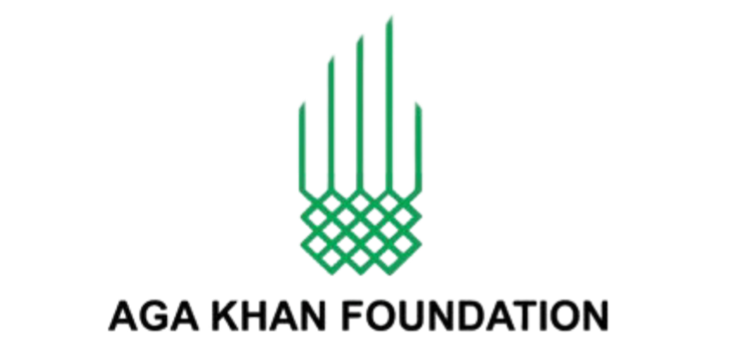 SAAM Group Partner